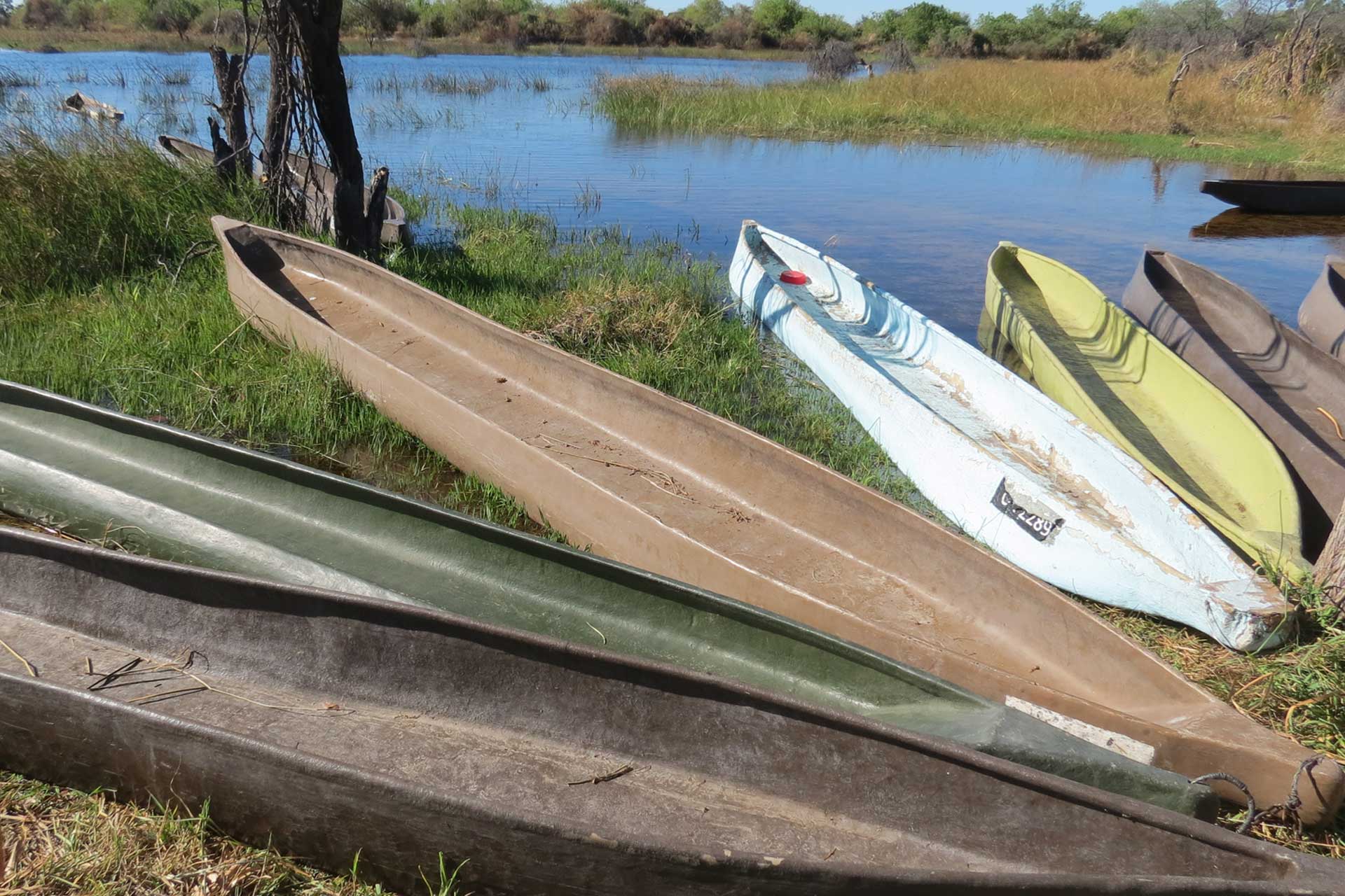 Canoes by the River - Authentic Botswana Tours