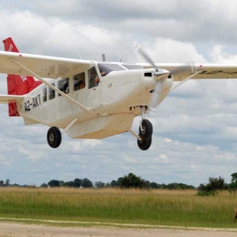 Fly-In Safaris
