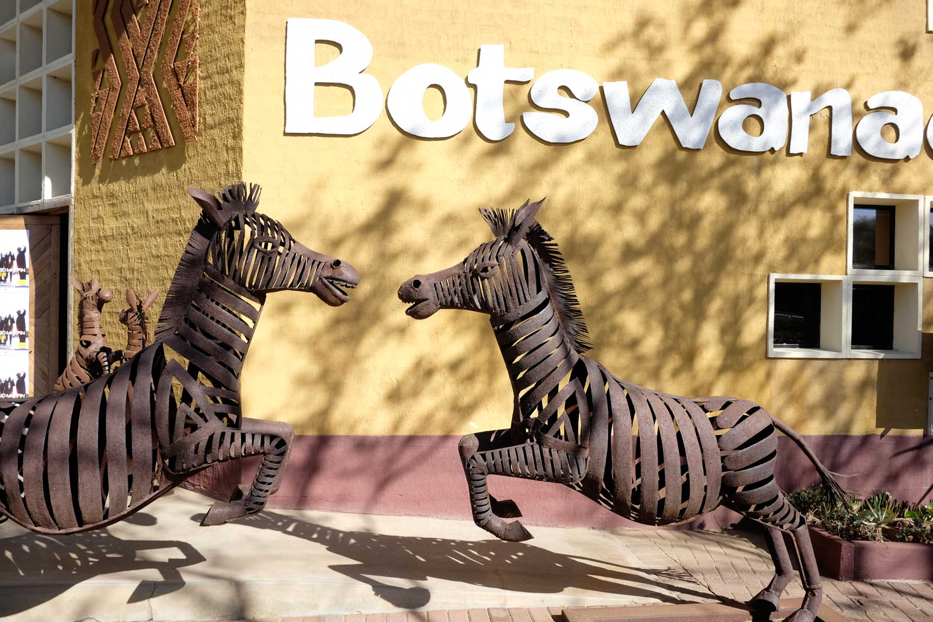 Zebras at Botswana National Museum & Art Gallery, Authentic Botswana Tours